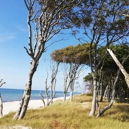 Residenz Rennhack فندق