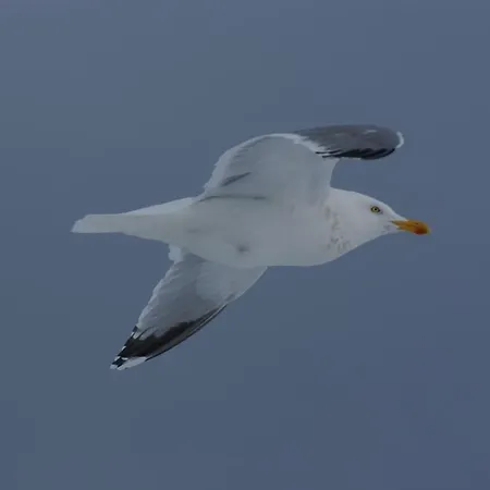 فندق Residenz Rennhack *