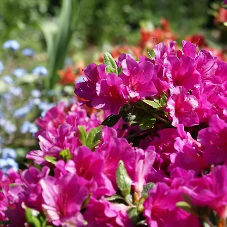 فندق Residenz Rennhack