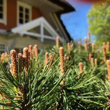 Residenz Rennhack فندق *