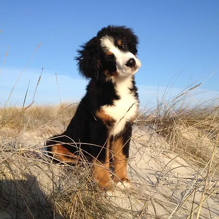 Residenz Rennhack * زنغست